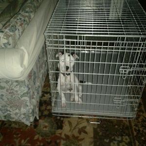 Meet your Posher, Elliott